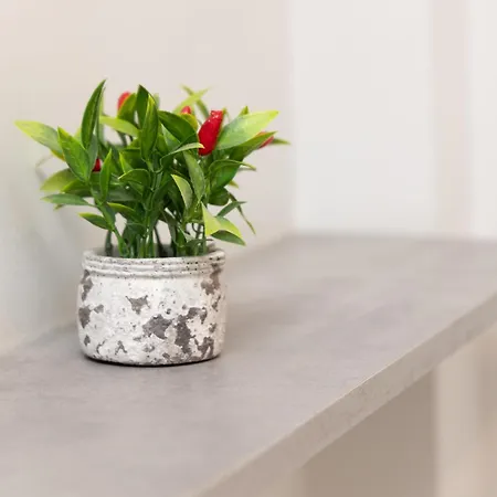 Skg Rotonda * Thessaloniki