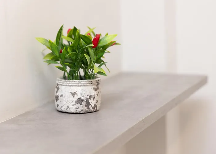 Skg Rotonda * 塞萨洛尼基